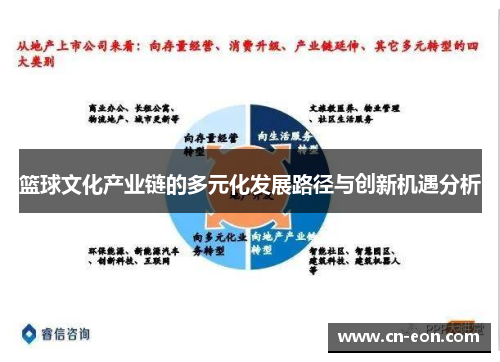 篮球文化产业链的多元化发展路径与创新机遇分析