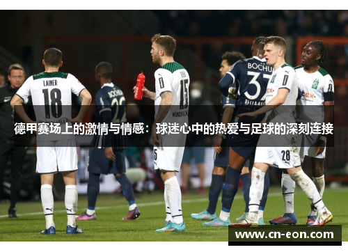 德甲赛场上的激情与情感：球迷心中的热爱与足球的深刻连接