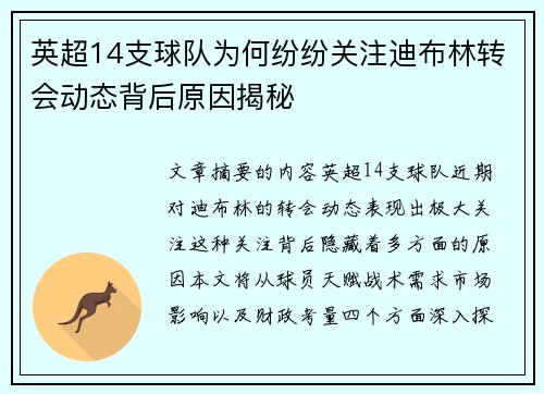 英超14支球队为何纷纷关注迪布林转会动态背后原因揭秘