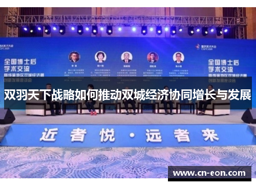 双羽天下战略如何推动双城经济协同增长与发展
