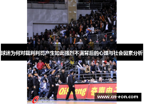 球迷为何对裁判判罚产生如此强烈不满背后的心理与社会因素分析