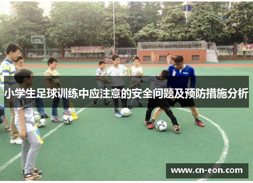 小学生足球训练中应注意的安全问题及预防措施分析
